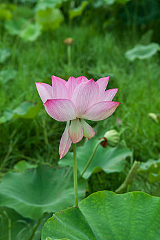 cách đánh lô đề miền nam