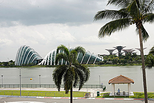 lo bạch thủ đẹp hôm nay