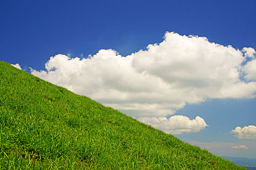 soi cau bach thu khung 5 ngay
