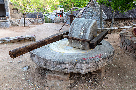 soi cau 24 gio mien phi
