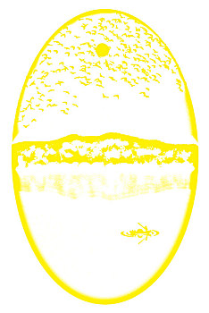 dự đoan xo so miền bac