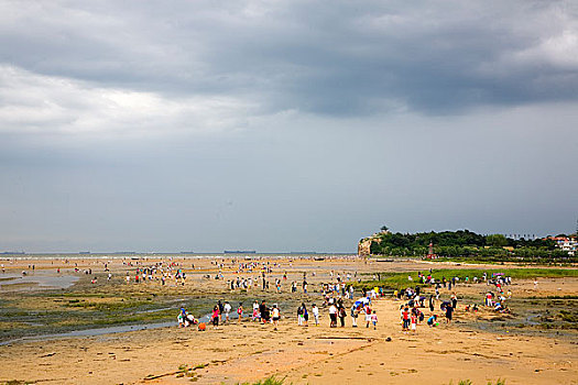 vip miền bắc