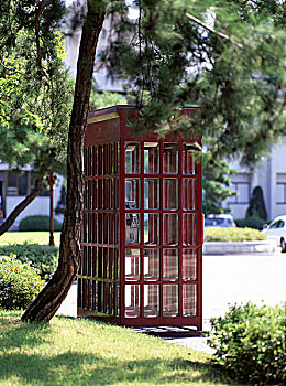 soi cau bach thu hom nay