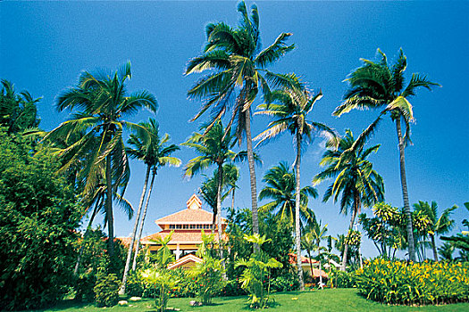 thống kê xổ số gia lai