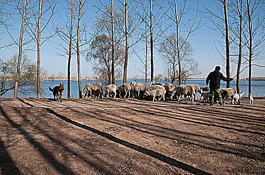 xskt khánh hoà