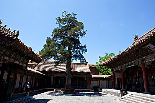 xổ số miền nam bữa nay