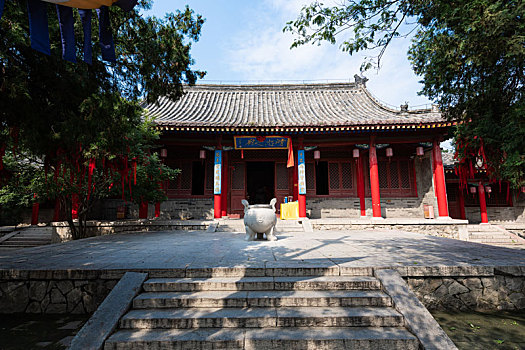 soi cau lo chuan hom nay