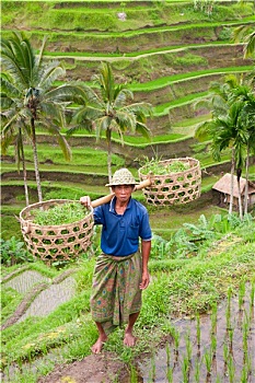 dự đoán xổ số quảng nam