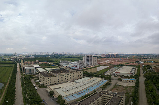 soi câu 555