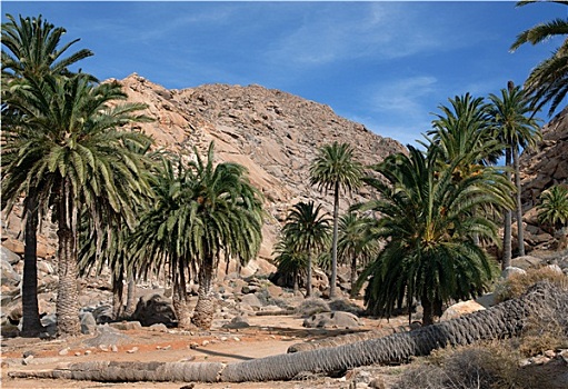 xổ số bắc ninh