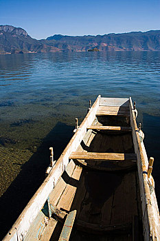 thong ke rong bach kim