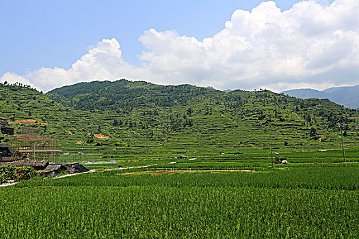 miền bắc trực tiếp