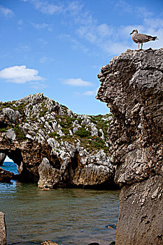 xskt đồng nai