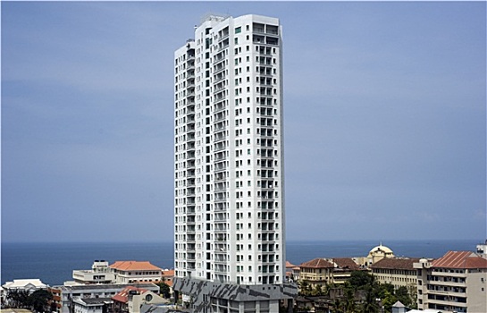 lô bạch thủ miền bắc