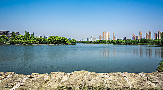 hom nay danh bach thu con gi