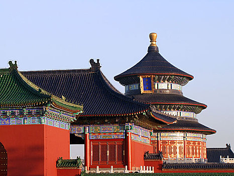 rong bach kim 88