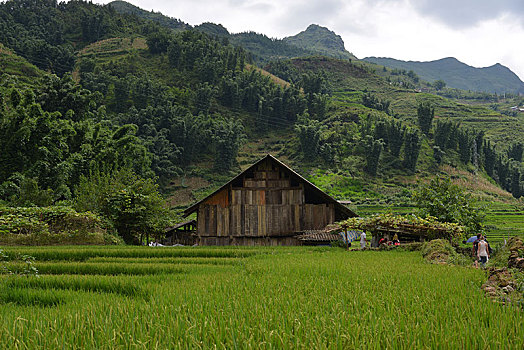 soi cầu xổ số tiền giang