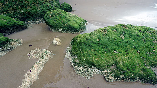 xổ số trà vinh