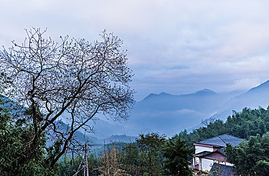 soi cau xo so 888