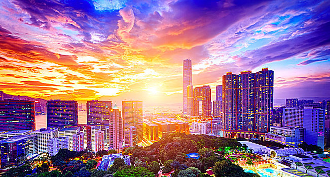 cau bạch thu hom nay