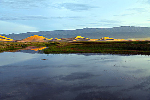 soi bạch thủ đề hôm nay