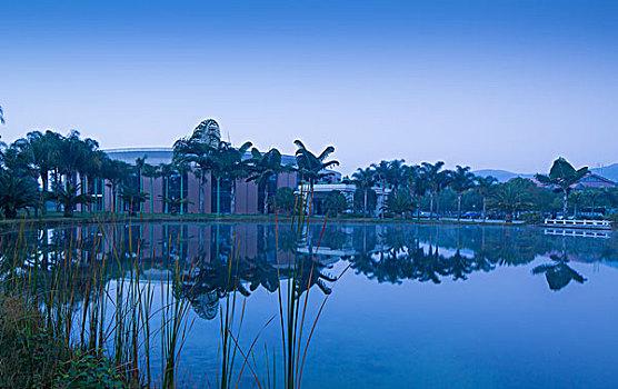 đề ăn 99