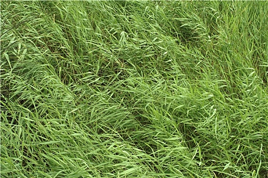 soi cầu xổ số miền nam ngày hôm nay