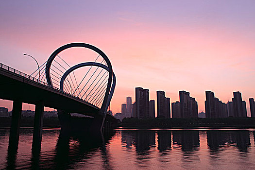 soi câu lô bach thu