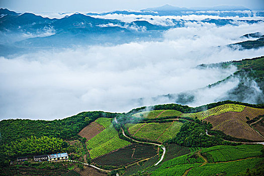 huong dan choi lo de