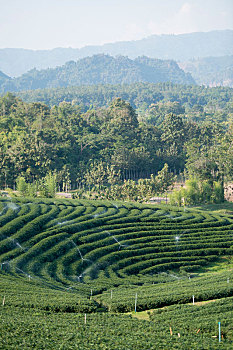xskt khánh hoà