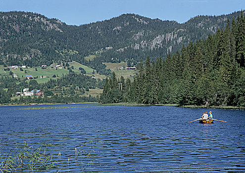 soi lo bach thu
