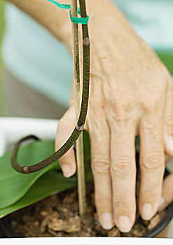 cách soi cầu lô