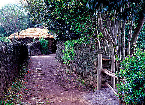 bạch thủ lô hôm nay