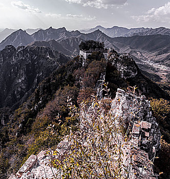 bach thu khung 2 ngay